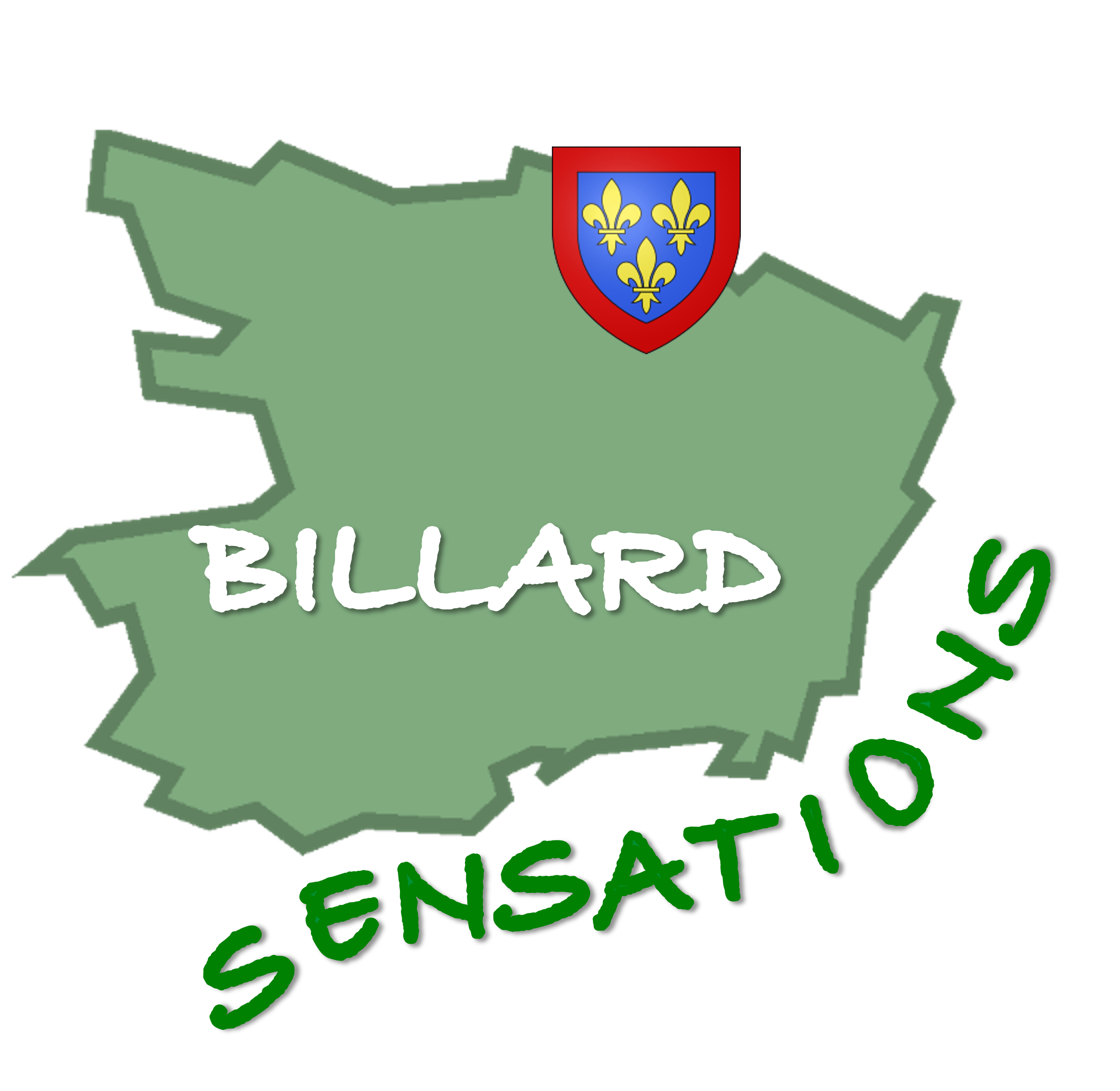 Logo BILLARD SENSATION